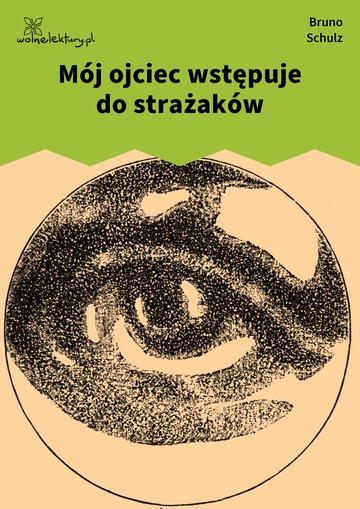 Bruno Schulz, Sanatorium Pod Klepsydrą (zbiór), Mój ojciec wstępuje do strażaków