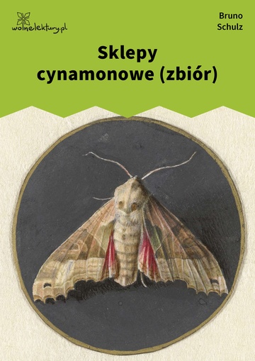 Sklepy cynamonowe (zbiór)