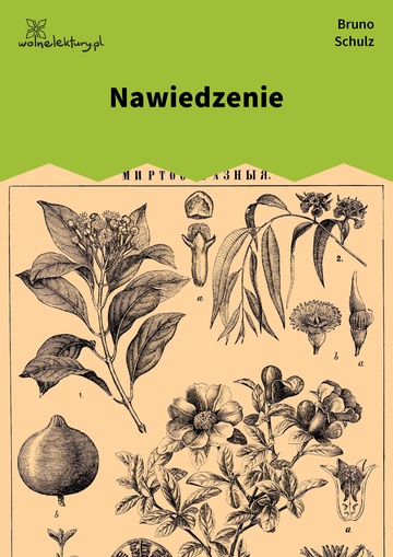 Nawiedzenie