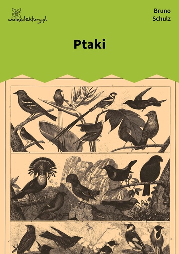 Ptaki