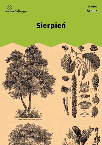 Sierpień