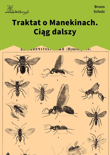 Bruno Schulz, Sklepy cynamonowe (zbiór), Traktat o Manekinach. Ciąg dalszy