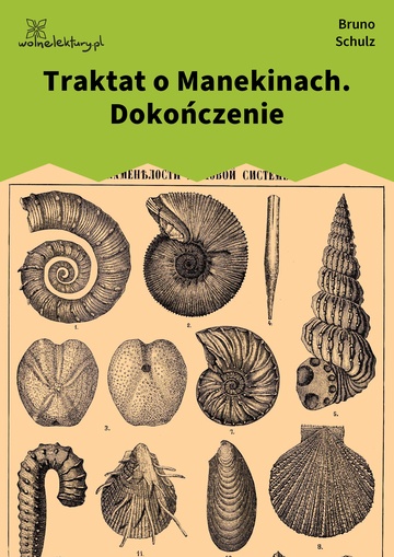 Bruno Schulz, Sklepy cynamonowe (zbiór), Traktat o Manekinach. Dokończenie