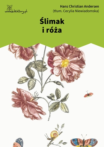Hans Christian Andersen, Baśnie, Ślimak i róża