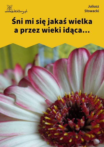 Juliusz Słowacki, Śni mi się jakaś wielka a przez wieki idąca...