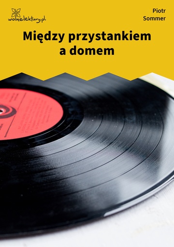 Między przystankiem a domem