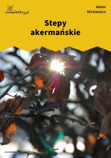 Stepy akermańskie