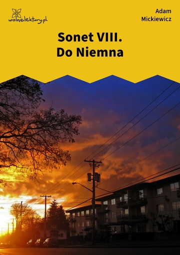 Sonet VIII. Do Niemna