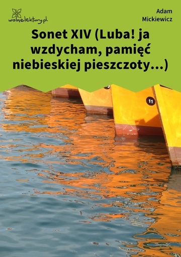 Adam Mickiewicz, Sonety odeskie, Sonet XIV (Luba! ja wzdycham, pamięć niebieskiej pieszczoty...)