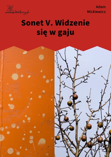 Sonet V. Widzenie się w gaju