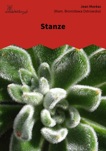 Stanze