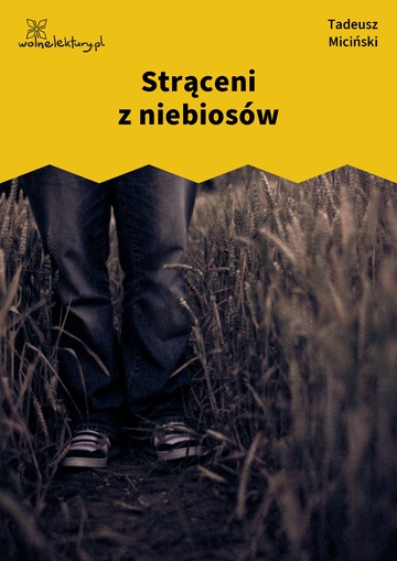 Tadeusz Miciński, W mroku gwiazd, Strąceni z niebiosów