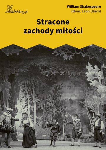 Stracone zachody miłości