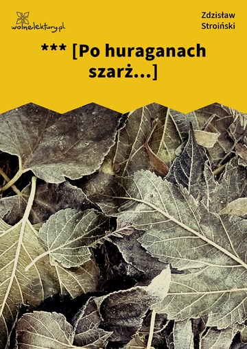 *** [Po huraganach szarż...]