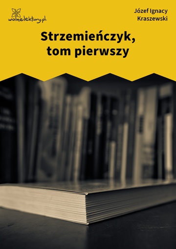 Józef Ignacy Kraszewski, Strzemieńczyk, Strzemieńczyk, tom pierwszy