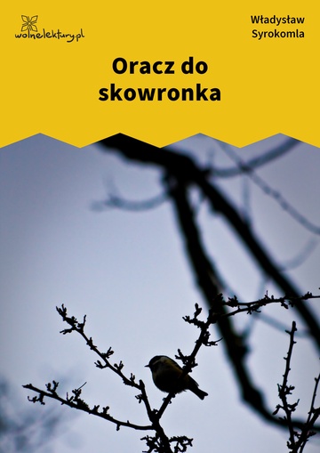 Oracz do skowronka