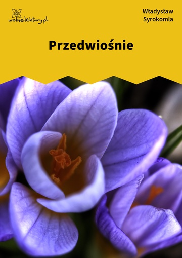 Przedwiośnie