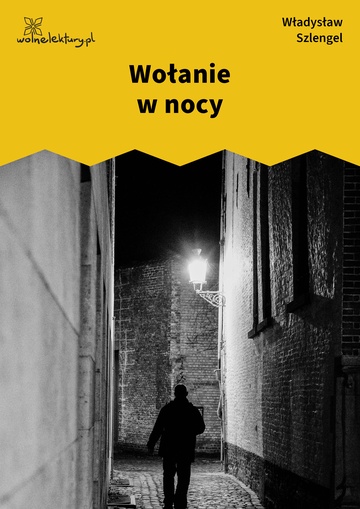 Wołanie w nocy