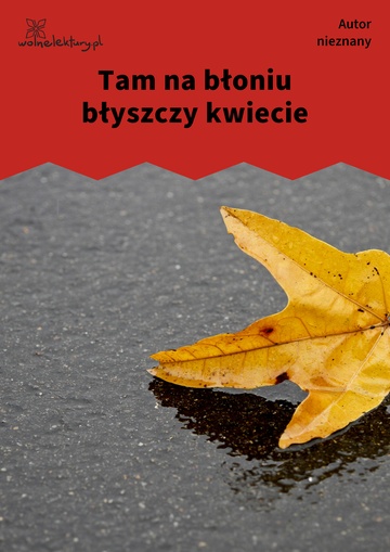 Autor nieznany , Tam na błoniu błyszczy kwiecie