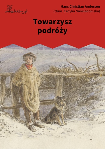 Towarzysz podróży