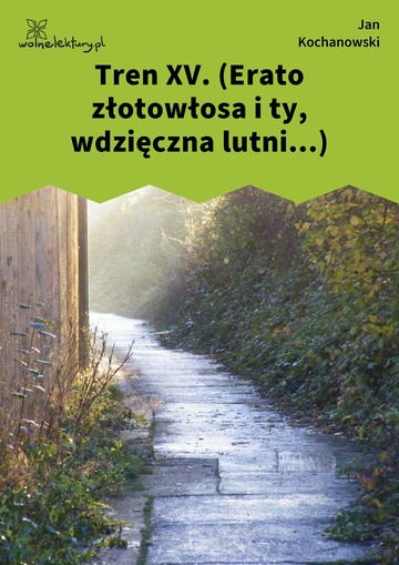 Jan Kochanowski, Treny, Tren XV. (Erato złotowłosa i ty, wdzięczna lutni...)