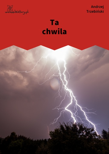 Ta chwila