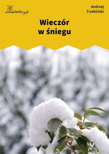 Wieczór w śniegu
