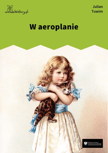 W aeroplanie