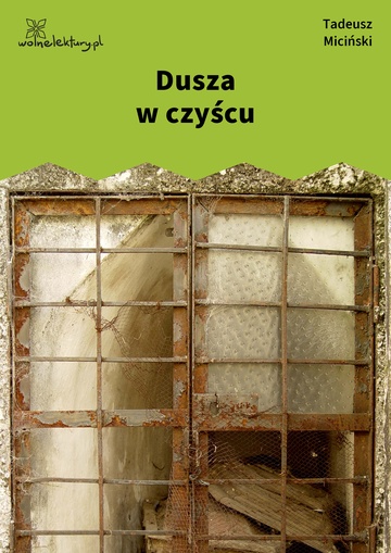 Tadeusz Miciński, W mroku gwiazd, Już świt, Dusza w czyścu