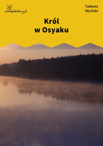 Tadeusz Miciński, W mroku gwiazd, Strąceni z niebiosów, Król w Osyaku