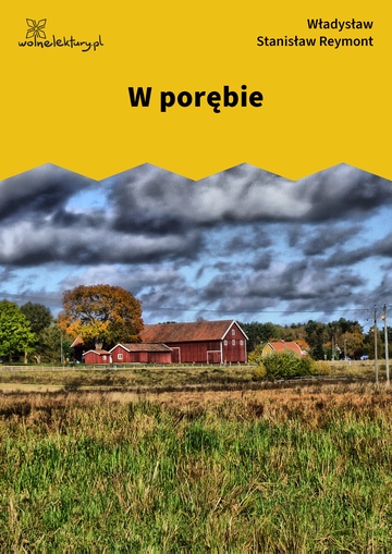 W porębie