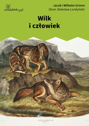 Wilk i człowiek