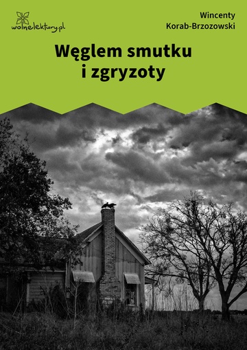 Wincenty Korab-Brzozowski, Węglem smutku i zgryzoty