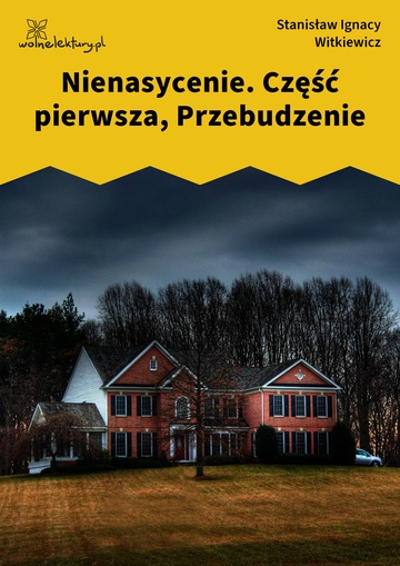 Stanisław Ignacy Witkiewicz (Witkacy), Nienasycenie, Nienasycenie. Część pierwsza, Przebudzenie