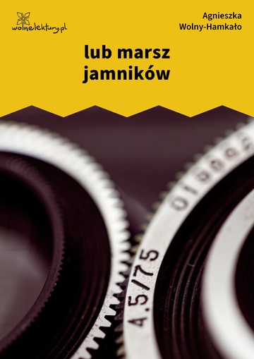 Agnieszka Wolny-Hamkało, Nikon i Leica, lub marsz jamników