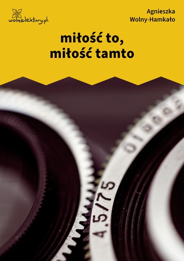 Agnieszka Wolny-Hamkało, Nikon i Leica, miłość to, miłość tamto