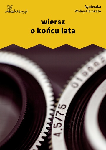 Agnieszka Wolny-Hamkało, Nikon i Leica, wiersz o końcu lata