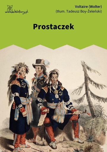 François-Marie Arouet (Voltaire / Wolter), Prostaczek