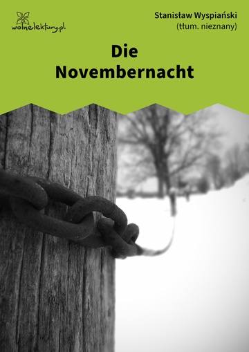 Die Novembernacht