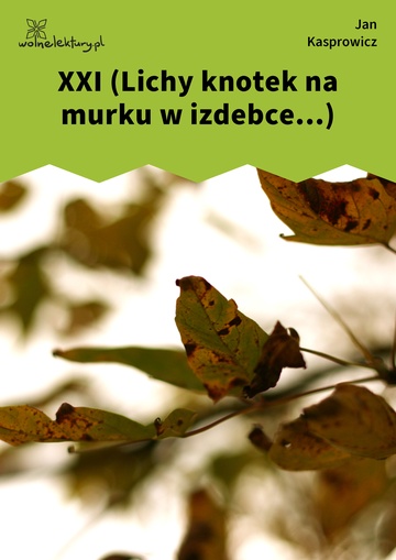 XXI (Lichy knotek na murku w izdebce...)