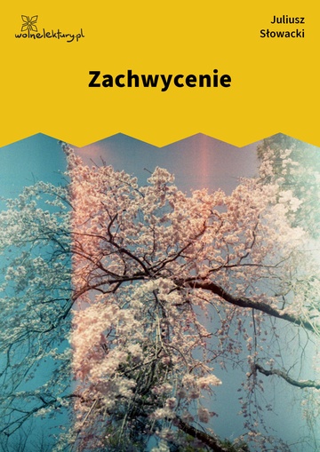 Zachwycenie