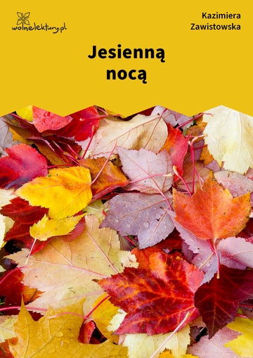 Jesienną nocą