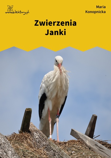 Zwierzenia Janki