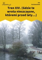 Jan Kochanowski – Tren XIV. (Gdzie te wrota nieszczęsne, któremi przed laty...)