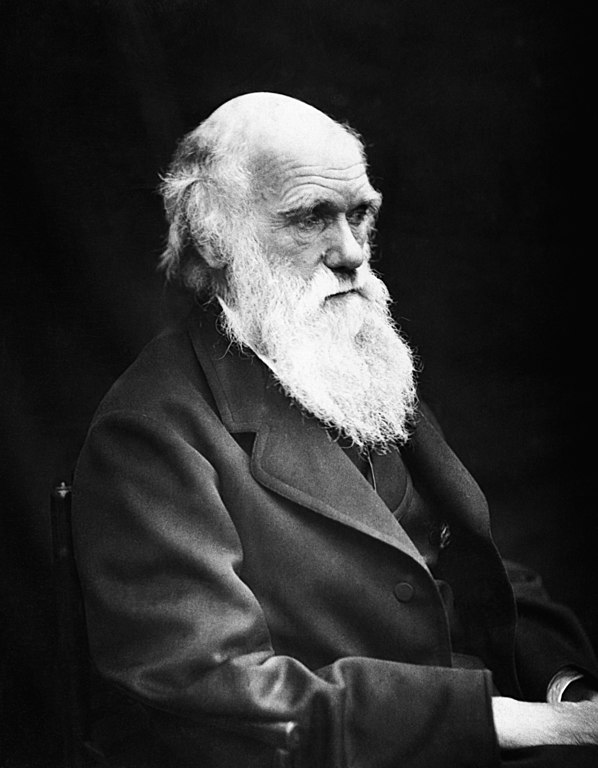 Karol Darwin