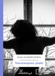 Nieoswojone ptaki