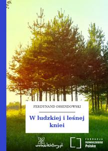 W ludzkiej i leśnej kniei