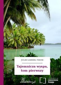 Tajemnicza Wyspa, tom I